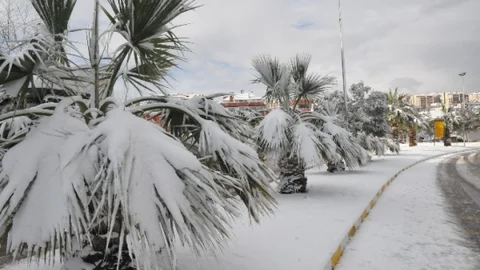 Akçakoca Beyaz Gelinliğini Giydi