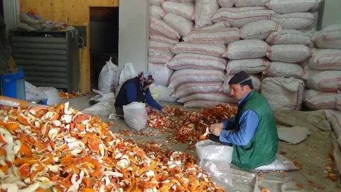 (Özel Haber) Portakal Kabuğu Ekmek Kapısı Oldu