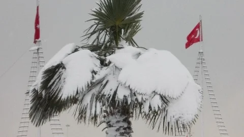 Samsun'dan Kar Manzaraları