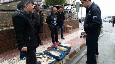 Barajda 13 Kiloluk Sazan Balığı Yakalandı