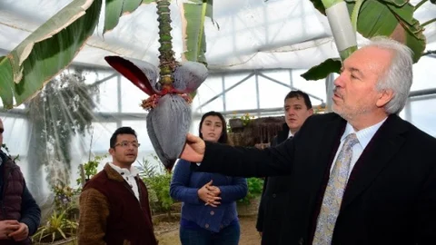 Başkan Saraçoğlu Hekim Sinan Tıbbi Bitkiler Araştırma Merkezi'ni Ziyaret Etti