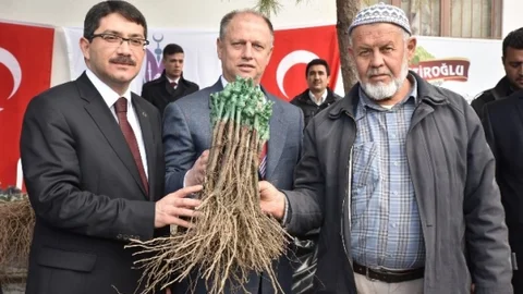 Şehzadeler'den Çiftçilere Fidan Desteği