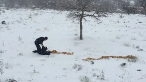 Niğde'de Sokak Hayvanları Sahipsiz Değil