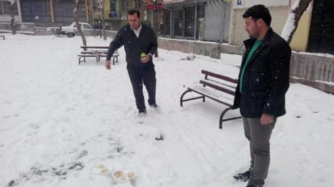 Aksaray'da Sokak Hayvanlarına Yemek Bırakıldı