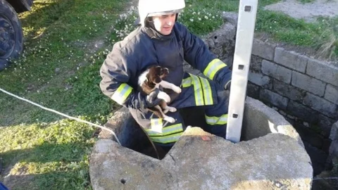 Su Kuyusuna DÜşen Yavru Köpeği İtfaiye Kurtardı