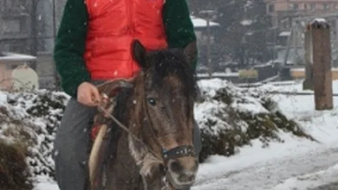 (Özel Haber) Çalıştığı İş Yerine Atı Rüzgarla Geldi