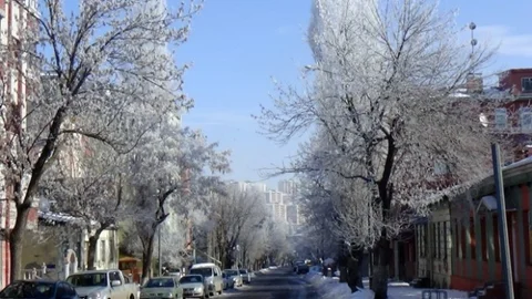 Kars'ta Ağaçlar Kırağı Tuttu