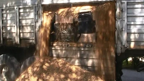 Uşak'ta 70 Bin Paket Kaçak Sigara Yakalandı