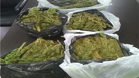 Denizli'de Uyuşturucu Operasyonu 4 Tutuklama