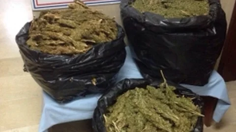 Diyarbakır'da 35 Kilogram Esrar Ele Geçirildi