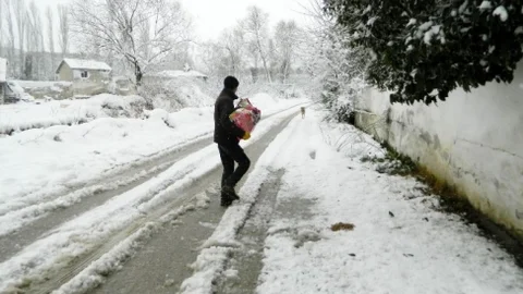 Sokak Hayvanlarına Dost Eli
