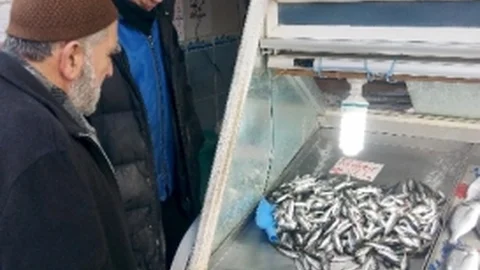 İstavrit Balığının Kilosu 20 Lira