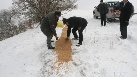 Yozgat'ta Yaban Hayvanları İçin Doğaya Yem Bırakıldı
