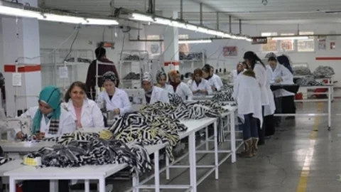 Doğu Karadeniz'i İmalat Sektörü Ayakta Tutuyor