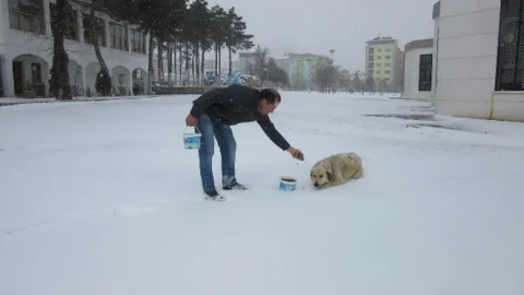 Uşak Belediyesi Sokak Hayvanlarını Unutmadı