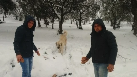 Karda Hayvanlar Unutulmadı