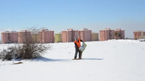 Sokak Hayvanları Kuşlar Ve Yılkı Atları Unutulmadı