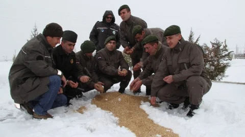 Karaman'da Yaban Hayvanlarına Yem Desteği