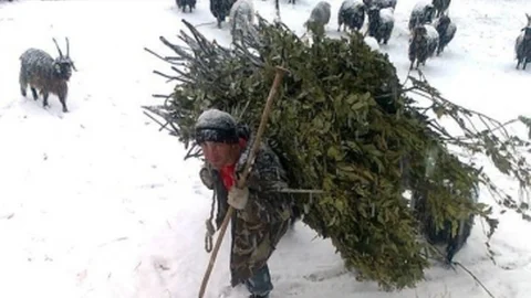 Kar Yağışı Çiftçileri Sevindirdi