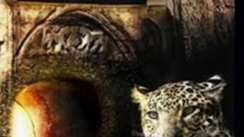 Amerikalı Yazar Branning Romanını Muhsin İlyas Subaşı'na İthaf Etti