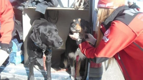 3,5 Metre Karda Uluslararası Tatbikat