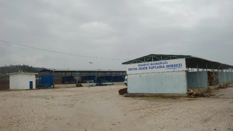 Lapseki'ye Meyve Hali