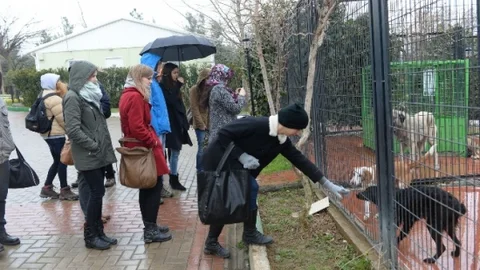 Çek Ve Polonyalı Öğrenciler Barınağa Hayran Kaldı