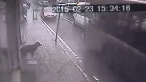 Sarıyer'deki Otobüs Kazası Kamerada