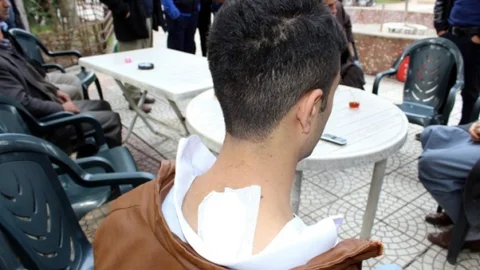 Adıyaman'da Domuz 3 Kişiyi Hastanelik Etti