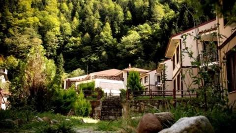 Karadeniz Şifa Dağıtıyor