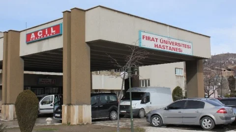 Kurt Saldırısına Uğrayan Yaşlı Adam Öldü