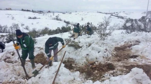 Karda Bile Ağaç Diktiler
