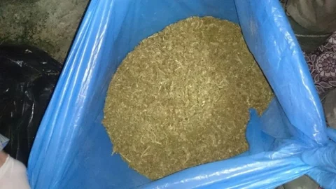 Gaziantep'te 2 Buçuk Kilo Esrar Maddesi Ele Geçirildi