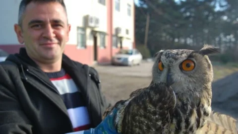 Tedavisi Yapılan Baykuşun Yeni Evi Samsun Hayvanat Bahçesi