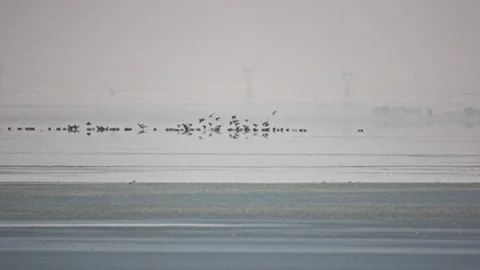 Seyfe Gölü Ekoloji Dernek Başkanı Ömer Çetiner
