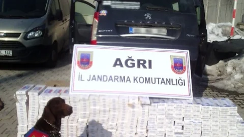 Ağrı'da 5 Bin 100 Paket Kaçak Sigara Ele Geçirildi