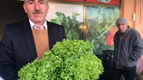 Manav Tezgahından Siyasete