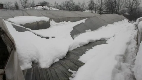 Düzce'de Kar Yağışı Hasar Tespiti Yapıldı