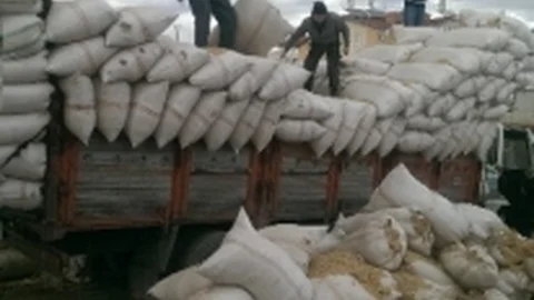 Saman Yüklü Kamyonda 60 Kilo Esrar Ele Geçirildi