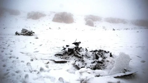 DÜşen Uçakların Enkazı İş Makineleriyle Toplanıyor