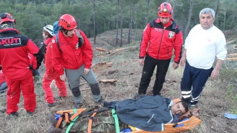 Mantar Ararken Üzerine Tomruk DÜştü