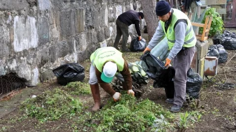 Bodrum'da Park Ve Bahçeler Sezona Hazırlanıyor