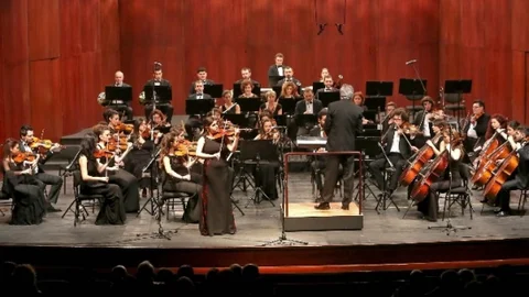 Sesim Bezdüz Ve Senfoni Orkestrası'ndan Müzik Ziyafeti