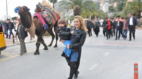 40 Yıl Sonra İlk Kez Deve Güreşleri Heyecanı