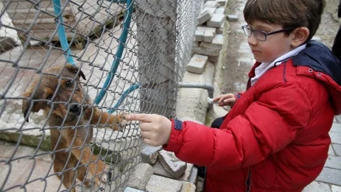 Karşıyakalılar Can Dostlara Sahip Çıktı