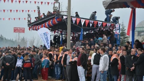 Balıkesir'de Deve Güreşleri Büyük İlgi Gördü