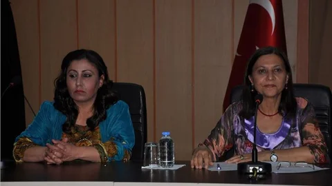 Üniversite öğrencisi Özgecan'ın öldürülmesi