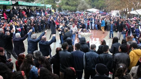 Muğla Hamsi'ye Doydu