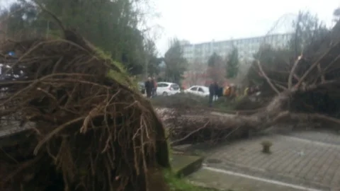 İyi Ki Altında İnsan Yoktu