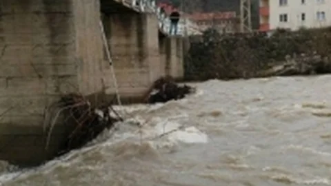 Çaya Atlayan Yaşlı Kadın Ölü Bulundu